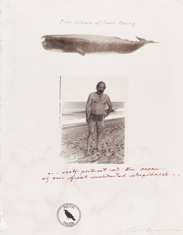 Artwork by Carl Beam, Self-portrait at the ocean of our great unlimited stupidness