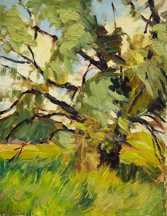 Artwork by Frederic Marlett Bell-Smith,  Study of a Tree