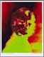 Thumbnail of Artwork by John Reeves, Harold Town (Seven Variations)