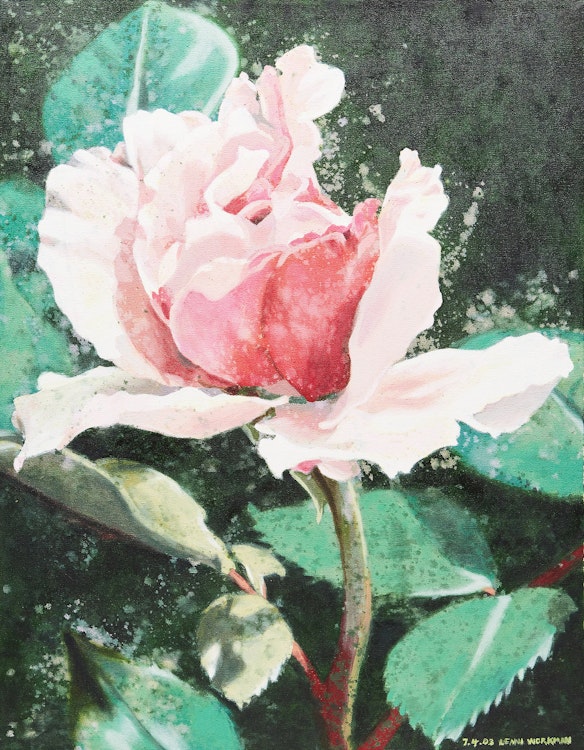 Artwork by Lenni Workman, Cameo: Rose