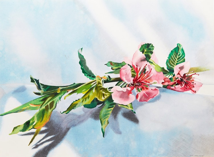 Artwork by Lenni Workman, Spring Still Life #4 (Peach Blossom)