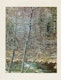 Thumbnail of Artwork by Eliot Furness Porter, Plates from the book “In Wildness Is the Preservation of the World”