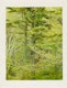 Thumbnail of Artwork by Eliot Furness Porter, Plates from the book “In Wildness Is the Preservation of the World”