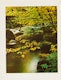 Thumbnail of Artwork by Eliot Furness Porter, Plates from the book “In Wildness Is the Preservation of the World”