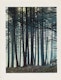 Thumbnail of Artwork by Eliot Furness Porter, Plates from the book “In Wildness Is the Preservation of the World”