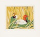 Thumbnail of Artwork by Alfred Joseph Casson, The Canvas-Back