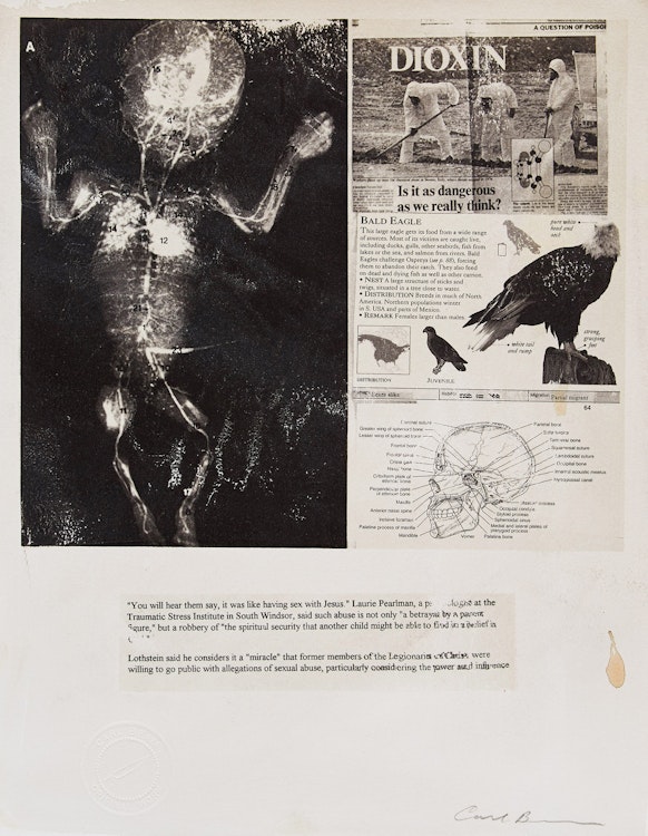 Artwork by Carl Beam, Untitled (Bald Eagle)