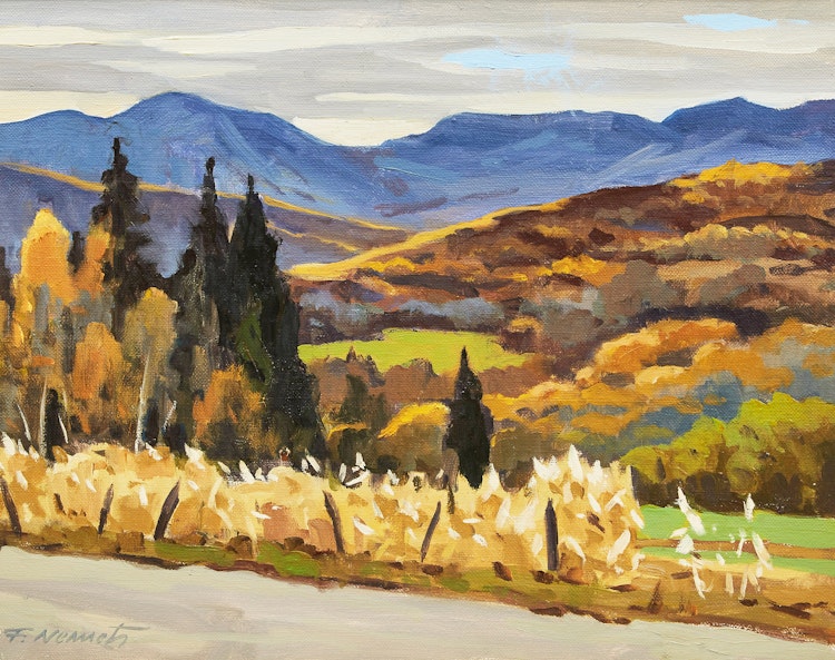 Artwork by Frank Nemeth, Wild Lilies: Ile Perrot