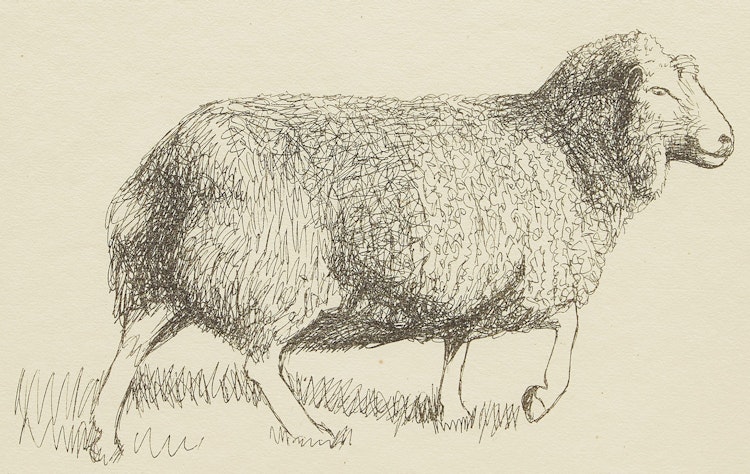 Artwork by Henry Moore, Sheep Walking