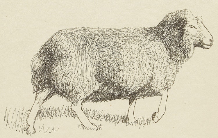 Artwork by Henry Moore,  Sheep Walking