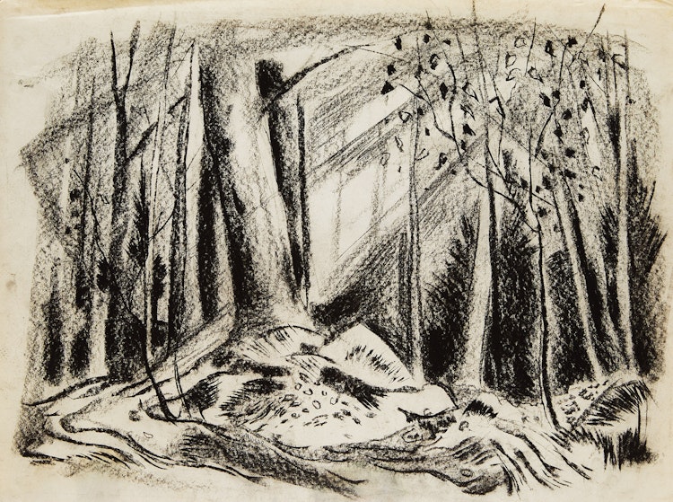 Artwork by Alexander Samuel Millar, Forest Landscape; Country Landscape; Forest Study; Tree Study; Abstract Tree; Angry Cat