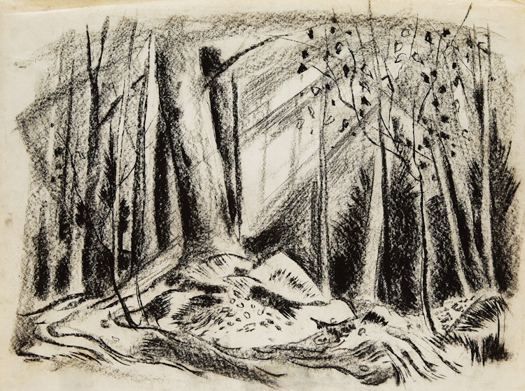 Artwork by Alexander Samuel Millar,  Forest Landscape; Country Landscape; Forest Study; Tree Study; Abstract Tree; Angry Cat