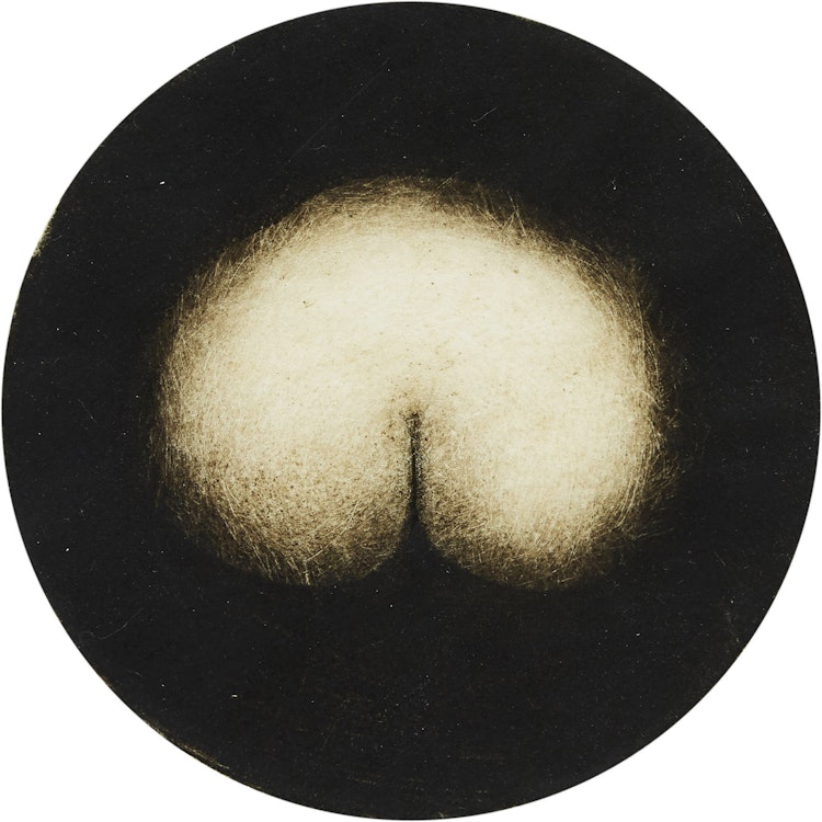 Artwork by Hugh Seaforth Mackenzie, Looking for the Venus Butterfly