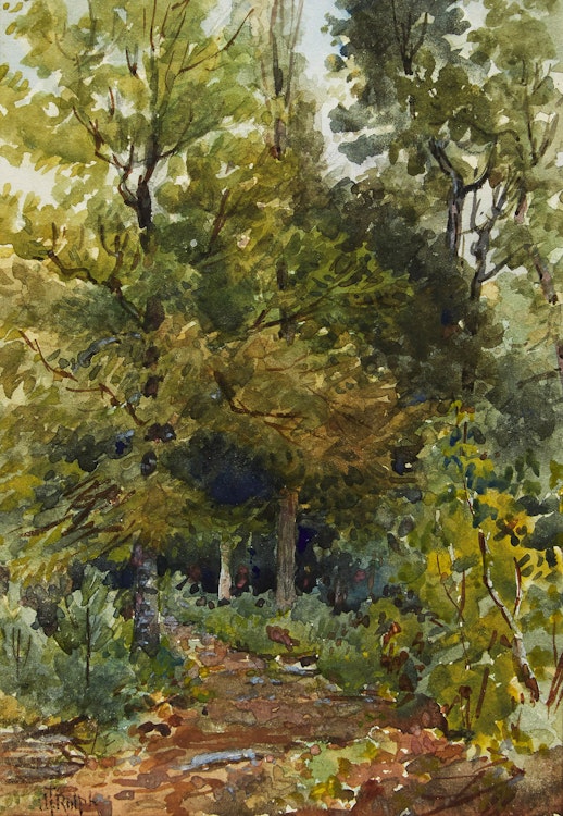 Artwork by Joseph Thomas Rolph, Forest Trail