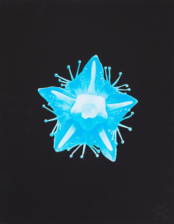 Artwork by John Massey, Spring