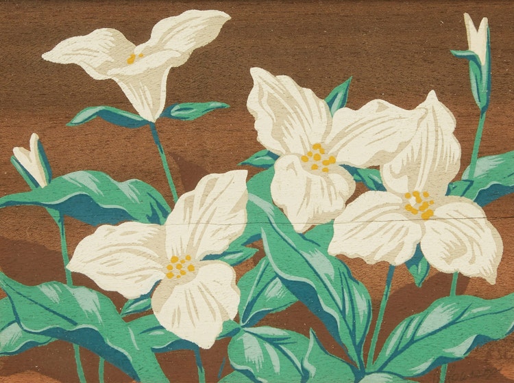 Artwork by Alfred Joseph Casson,  Trillium; Wood Sorrel; Dogwood