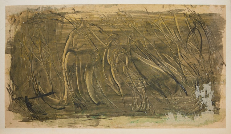 Artwork by Alexander Samuel Millar, Abstract Study; Thistles; Tree Study; Abstract Landscape; Palm Tree;