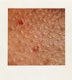 Thumbnail of Artwork by Eldon Garnet, Aliyah, NO and Fissure (16)
