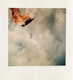 Thumbnail of Artwork by Eldon Garnet, Aliyah, NO and Fissure (16)