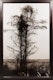 Thumbnail of Artwork by Pierre Charrier, Untitled #640