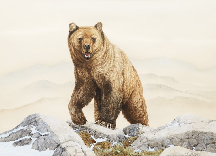 Artwork by Lissa Calvert, Grizzly Bear