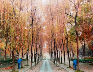 Artwork by David Burdeny, Sweepers, West Lake, Hangzhou, China