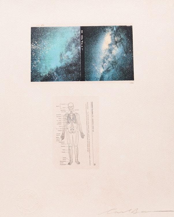 Artwork by Carl Beam,  Untitled (Milky Way / Skeletal System)