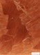 Thumbnail of Artwork by Carl Beam, Joker