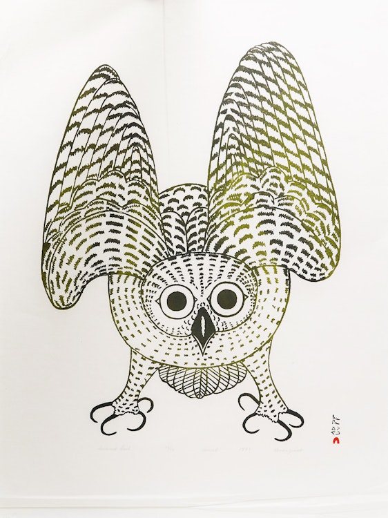 Artwork by Kananginak Pootoogook, Summer Owl