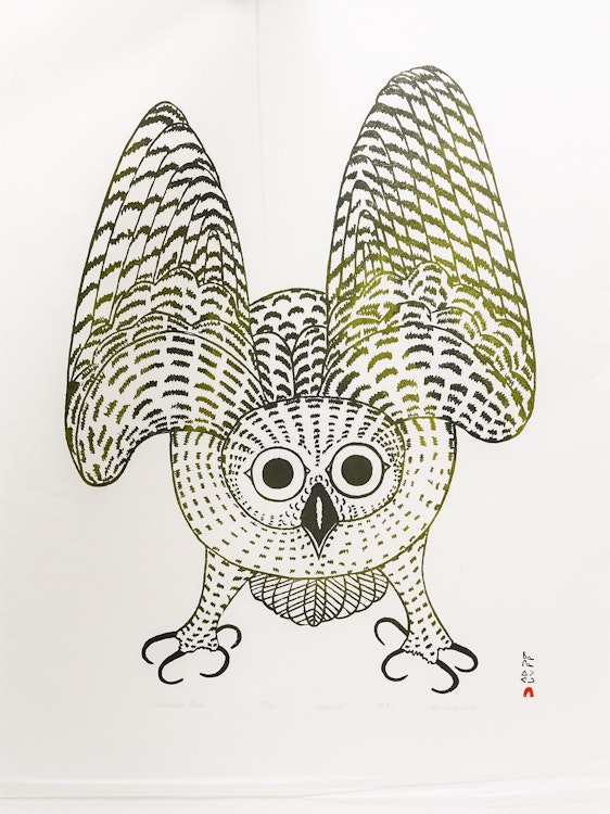 Artwork by Kananginak Pootoogook,  Summer Owl