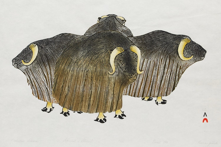 Artwork by Kananginak Pootoogook, Protective Stance