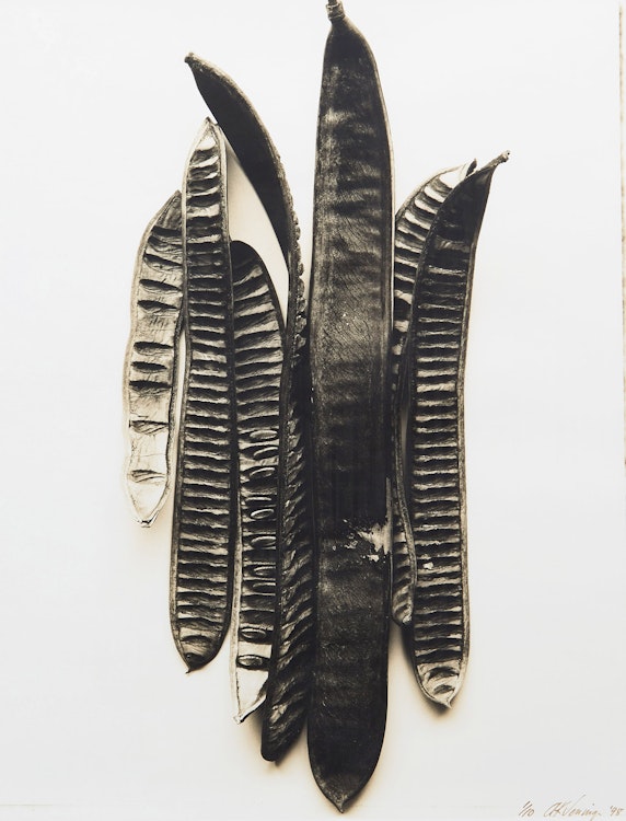 Artwork by Adriene Veninger, Pod no.19