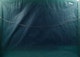 Thumbnail of Artwork by Barry McCarthy, Nocturne
