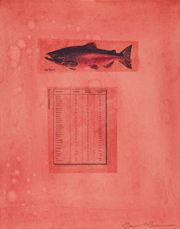 Artwork by Carl Beam, Useful Constants