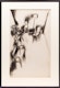 Thumbnail of Artwork by Michael James Aleck Snow, The Room