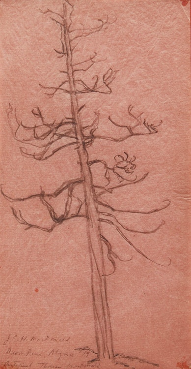 Artwork by James Edward Hervey MacDonald, Dead Pine, Algoma