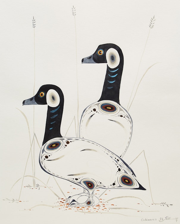 Artwork by Eddy Cobiness, Canada Geese Nesting