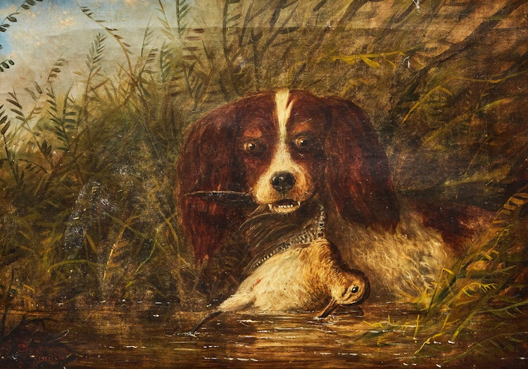 Artwork by Edward Scrope Shrapnel, Dog