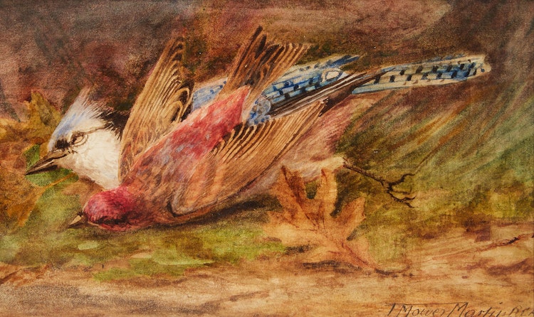 Artwork by Thomas Mower Martin,  Still Life of Cardinal and Blue Jay