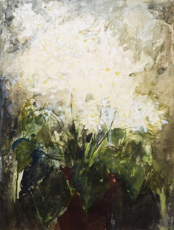 Artwork by Molly Lamb Bobak, Daisies