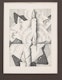 Thumbnail of Artwork by Bertram Richard Brooker, Six Christmas Cards