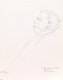 Thumbnail of Artwork by Barbara E. Mercer, A Collection of Sketchbooks