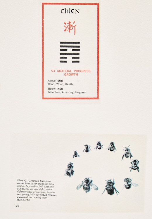 Artwork by Carl Beam, “Gradual Progress, Growth”; “The Whale of Our Being”; “Anongonse Migwans Beam”