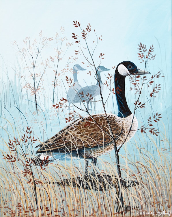 Artwork by Eddy Cobiness,  Geese