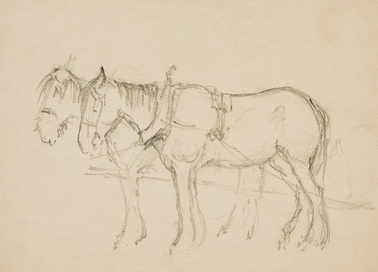 Artwork by Manly Edward MacDonald,  Two Horses