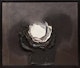 Thumbnail of Artwork by Luis Feito, Untitled