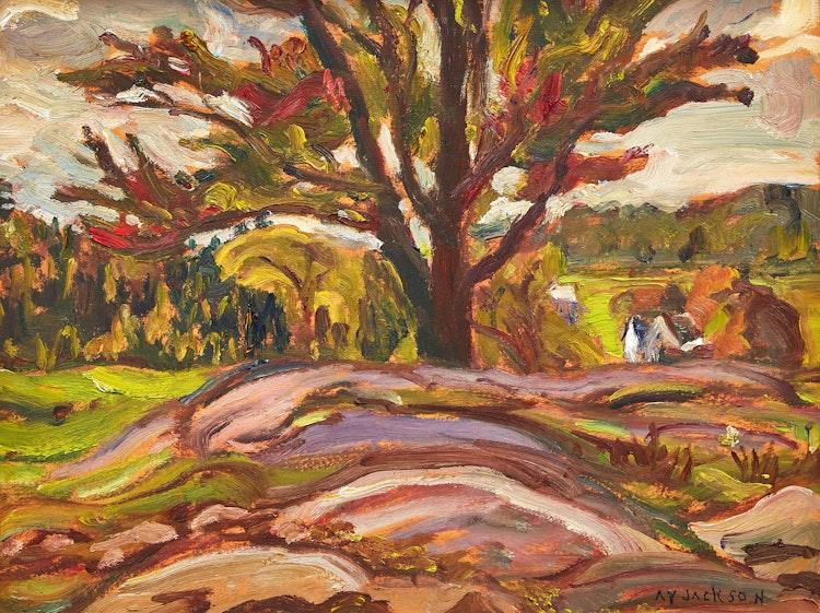 Artwork by Alexander Young Jackson, Sugar Maple, Brownsburg, QC