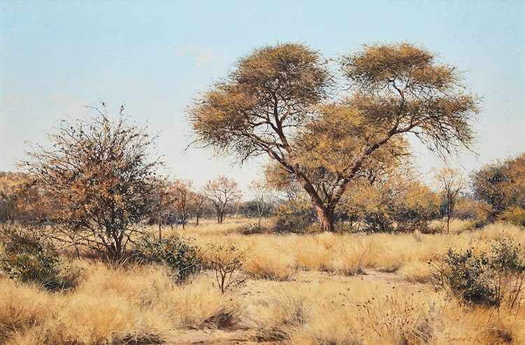 Artwork by François Koch,  South African Landscape