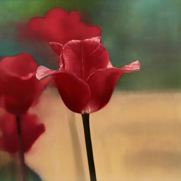 Artwork by James Lahey, Real Tulips