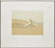 Thumbnail of Artwork by Toni Onley, Darkening Land; Driftwood